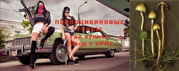 амфетамин Алексеевка